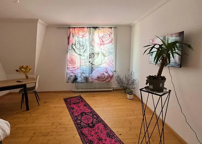 Проживання в сім'ї Zuerizimmer Цюрих